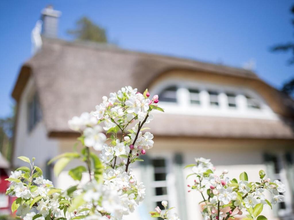 Holiday Home Reet-Seaside โกลเวอ ภายนอก รูปภาพ