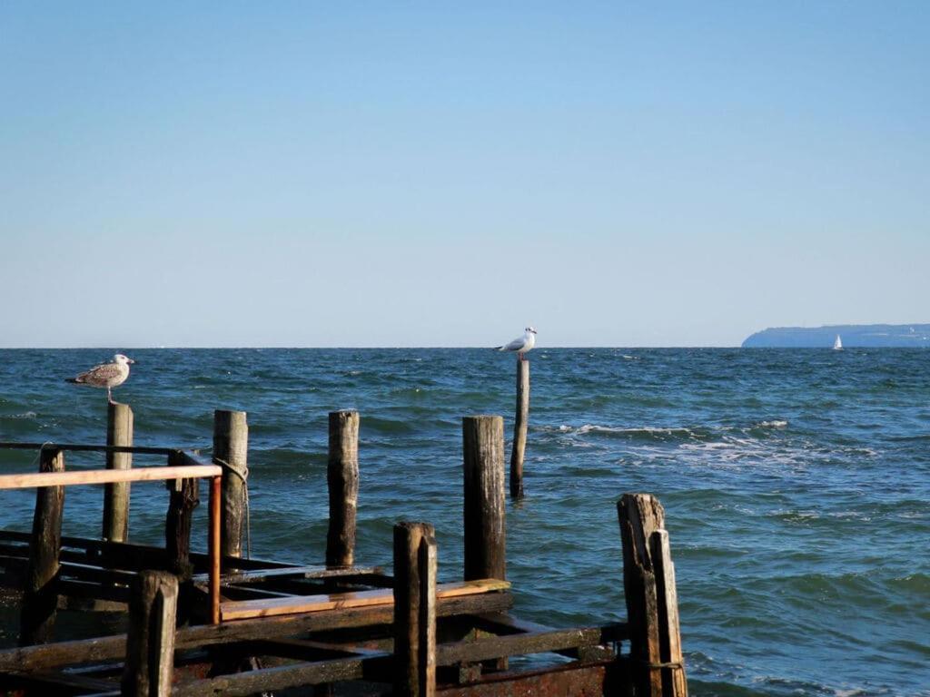 Holiday Home Reet-Seaside โกลเวอ ภายนอก รูปภาพ